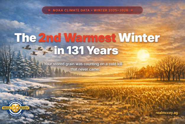 Winter warmth_ a striking contrast